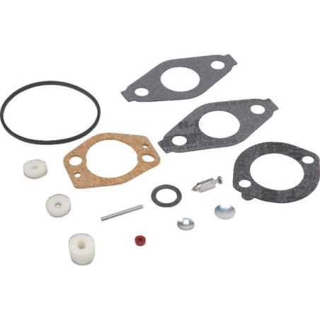 Kit carburateur BRIGGS ET STRATTON 695157