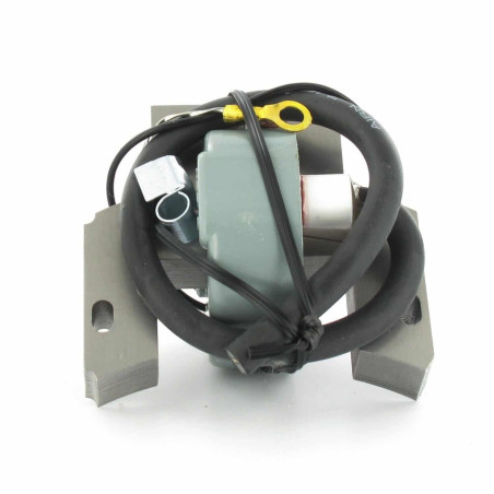 Bobine d'allumage 591420 - 793352 - 793281 - 298502 pour Briggs et Stratton