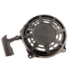 Lanceur BRIGGS et STRATTON 493295 - 497598