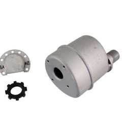 Pot d'échappement pour moteur Briggs & Stratton 382811 / 493288