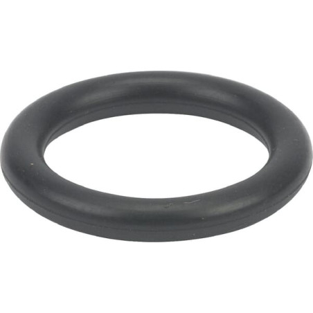 Joint torique BRIGGS ET STRATTON 699725