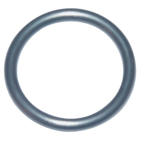 Joint torique BRIGGS ET STRATTON 270344S
