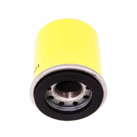 FILTRE A HUILE BRIGGS ET STRATTON 795990