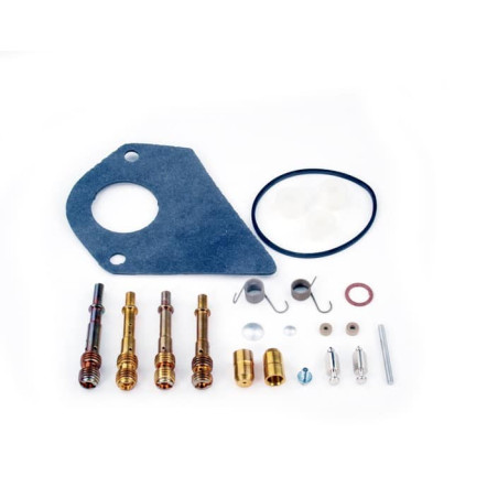 Kit de réparation carburateur BRIGGS ET STRATTON 495799 - 497535 - 494880 - 494384