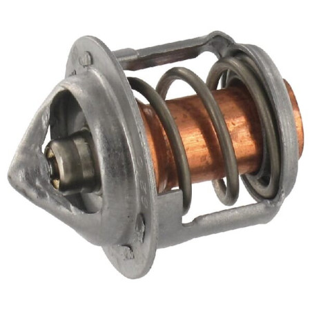 Thermostat ETESIA ET34392