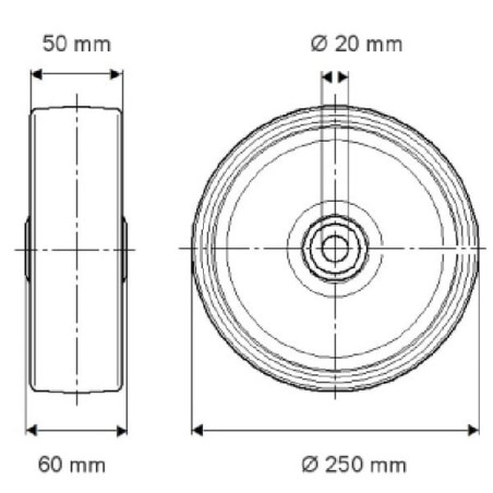 Roue 250mm TENTE FTP2500502060