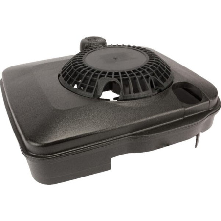 Réservoir de carburant BRIGGS ET STRATTON 699392