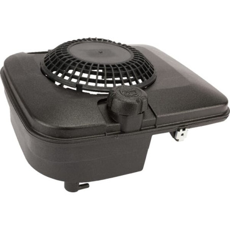 Réservoir de carburant BRIGGS ET STRATTON 699392