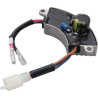 Régulateur BRIGGS ET STRATTON 704912