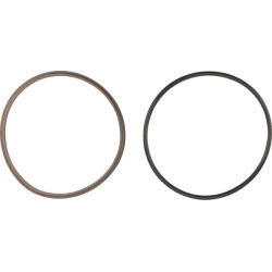 Racleur SEALTECH ASP90102271T46N