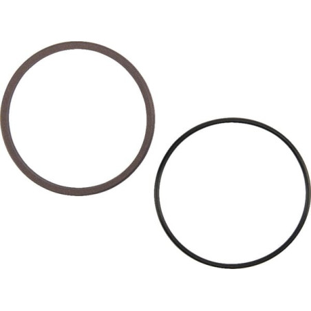 Racleur SEALTECH ASP707886T46N