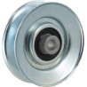 Poulie UNIVERSEL FGP015678