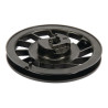 Poulie de démarrage BRIGGS ET STRATTON 695129