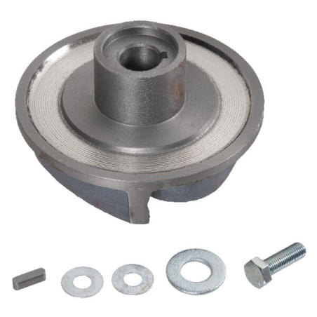 Pompe ventilateur BRIGGS ET STRATTON 198058GS
