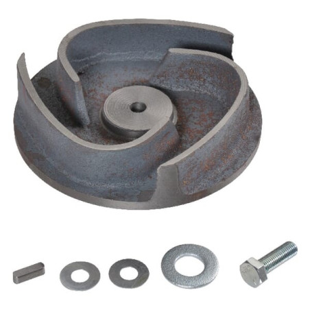 Pompe ventilateur BRIGGS ET STRATTON 198058GS