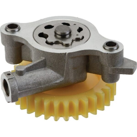 Pompe à huile BRIGGS ET STRATTON 843959