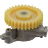 Pompe à huile BRIGGS ET STRATTON 843959