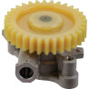 Pompe à huile BRIGGS ET STRATTON 843959