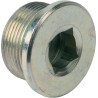 Bouchon SPICER DANA 000065115A