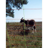 Filet pour enclos de moutons et chèvres GALLAGHER 010356GAL