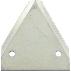Section RASSPE 02904171905