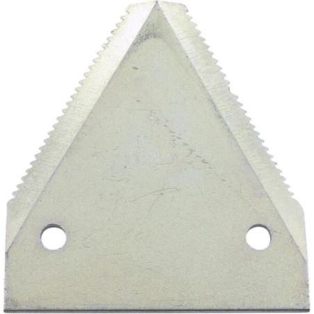 Section RASSPE 02904171905