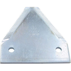 Section RASSPE 02904178205