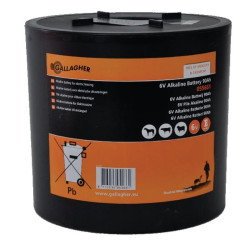 Pile GALLAGHER 055661GAL