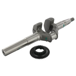 Vilebrequin HONDA 06131Z8BW00