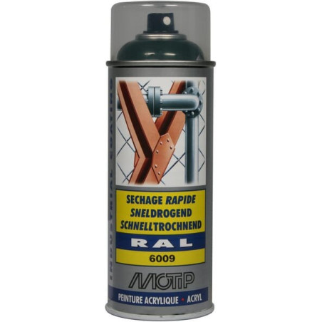 Peinture spray vert sapin MOTIP 07123