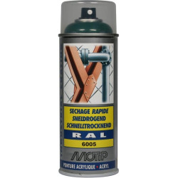 Peinture spray vert mousse MOTIP 07128