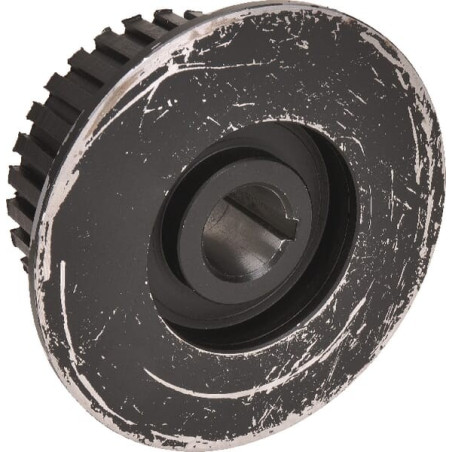 Roue ALPINA 07600820N