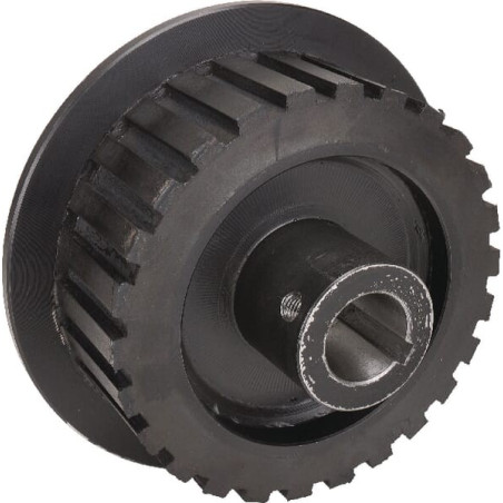 Roue ALPINA 07600822N