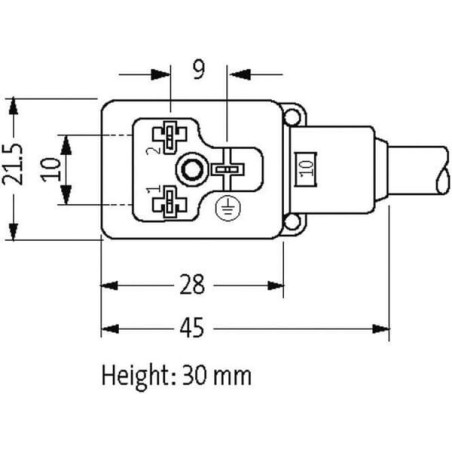 Câble MURR ELEKTRONIK 10021MSUDB