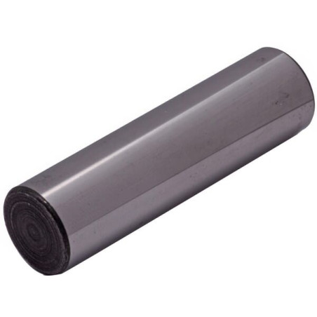 Piston ANNOVI REVERBERI 1040070