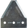 Section SCHUMACHER 1099105