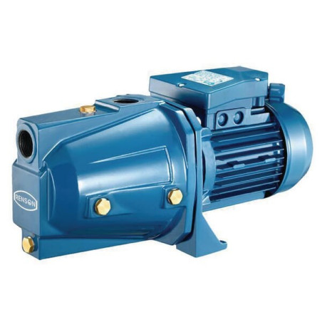 Pompe de surface RENSON 111150