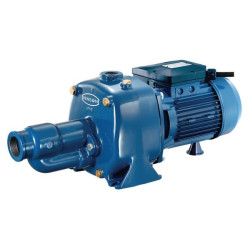 Pompe de surface RENSON 111164