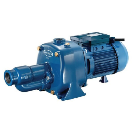 Pompe de surface RENSON 111164