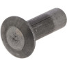 Rivet KONGSKILDE 115002431