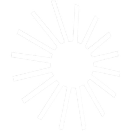 Embrayage LUK 133021410
