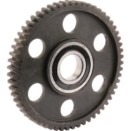 Pignon UNIVERSEL 1391901KR