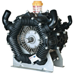 Pompe à pistons BERTOLINI 146022973VD