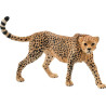 Guépard femelle miniature SCHLEICH 14746SCH