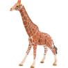 Girafe mâle miniature SCHLEICH 14749SCH