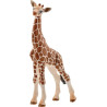 Bébé girafe SCHLEICH 14751SCH
