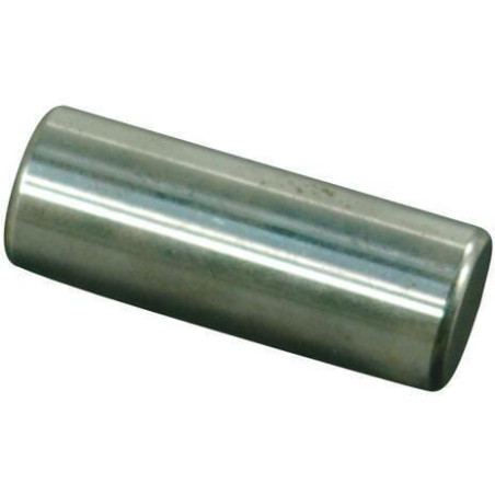 Piston ANNOVI REVERBERI 160700