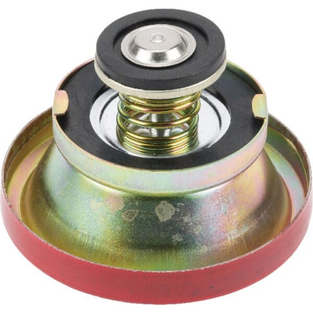 Couvercle de protection GOPART 1874445M94GP