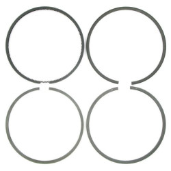 Segments UNIVERSEL 1901481N