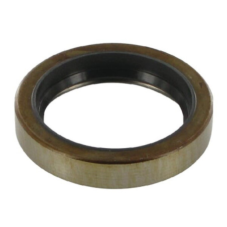 Joint spi GOPART 195678M2GP